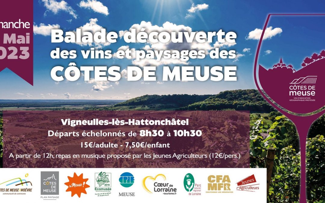 Balade découverte des vins et paysages des Côtes de Meuse