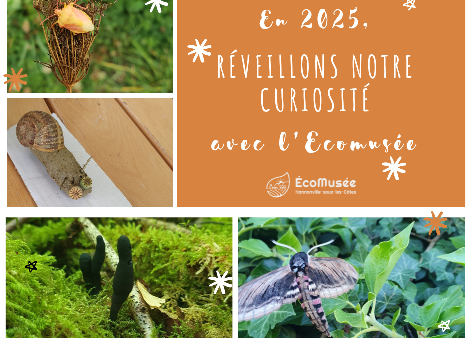 Belle et curieuse année 2025