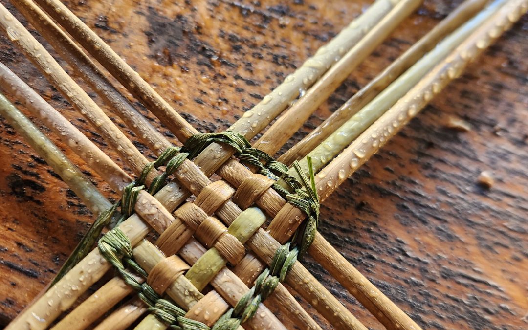 Massette et Compagnie