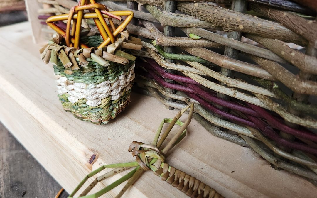 A la rencontre des fibres végétales qui se tressent…