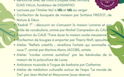 Dimanche animé du 2 Août : par ici le programme !
